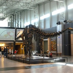 Apatosaurus at Tellus