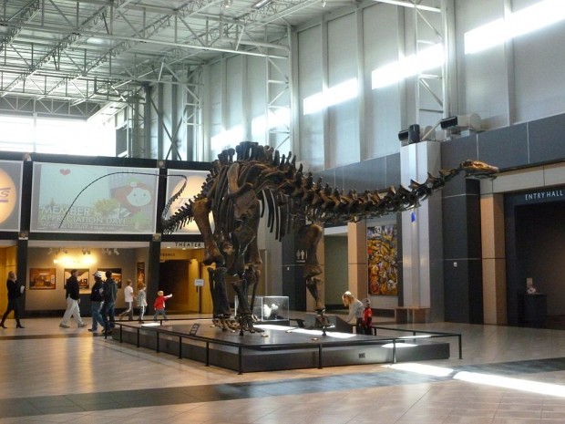 Apatosaurus at Tellus