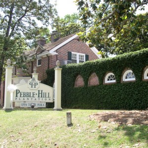 Pepple Hill Plantation